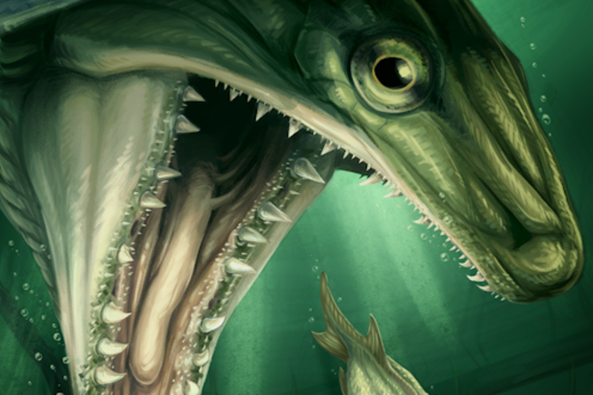 Chance discovery of 365-million-year-old fossil reveals new species