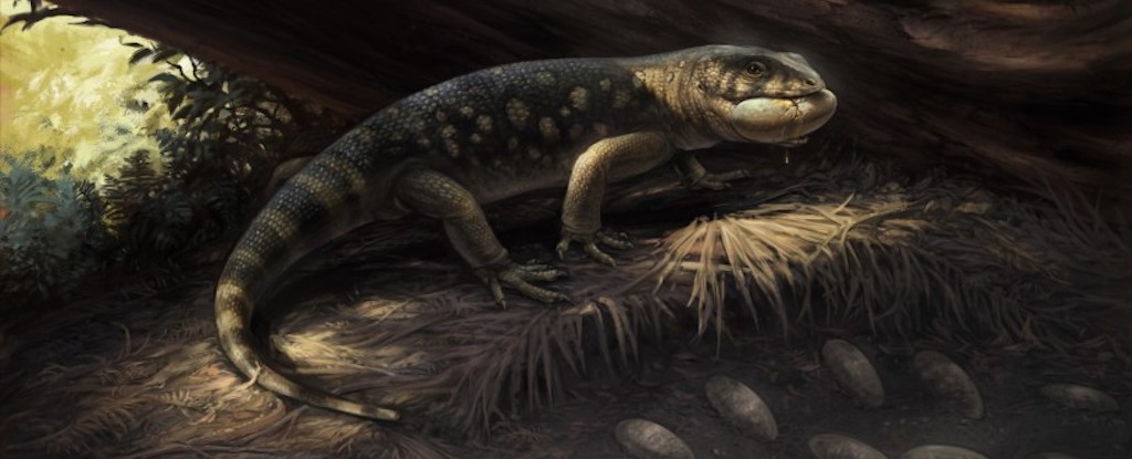Scientists Discover ‘Goblin Prince’ That Roamed With Dinosaurs : ScienceAlert