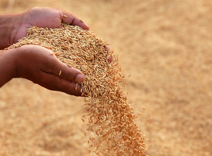 Another branch of the Ukrainian agricultural sector is drawing foreign investment amid rapid growth.