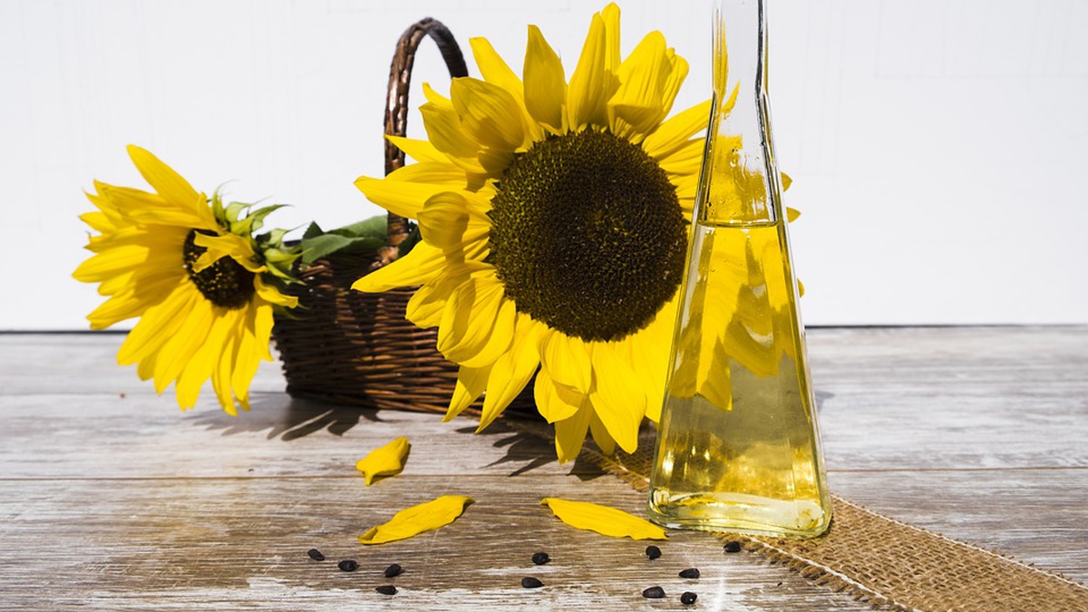 Agrarian Ministry won’t restrict oilseed exports to load processing enterprises