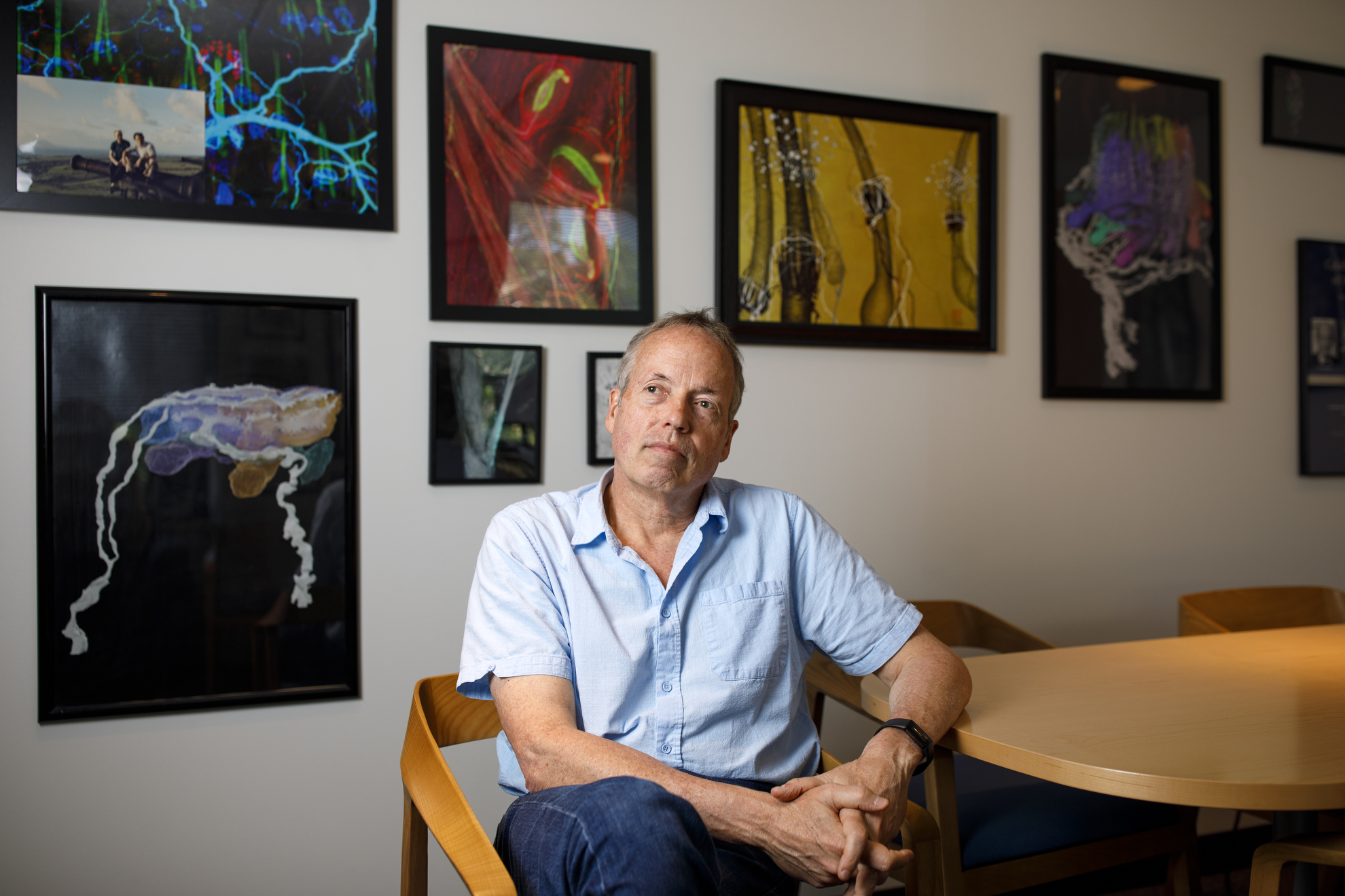 Highly sensitive science — Harvard Gazette