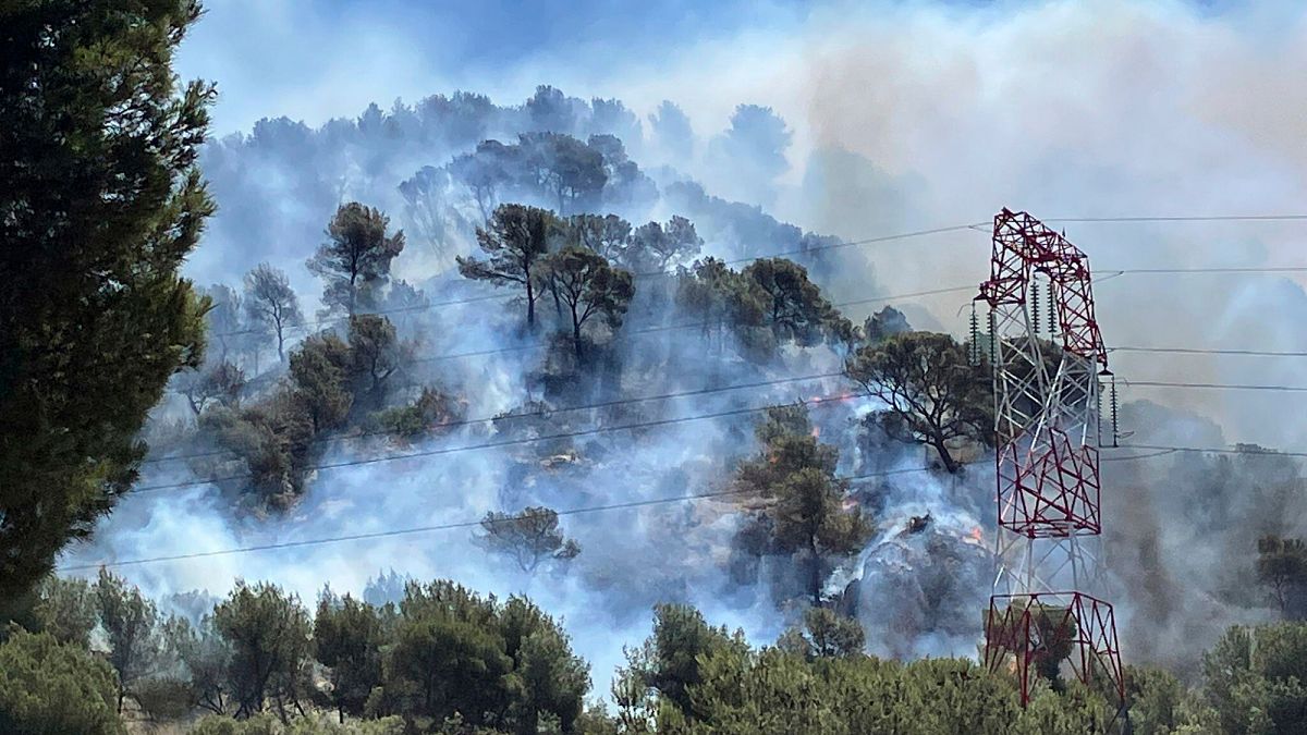 Video. Wildfire near Marseille injures 110 and grounds flights