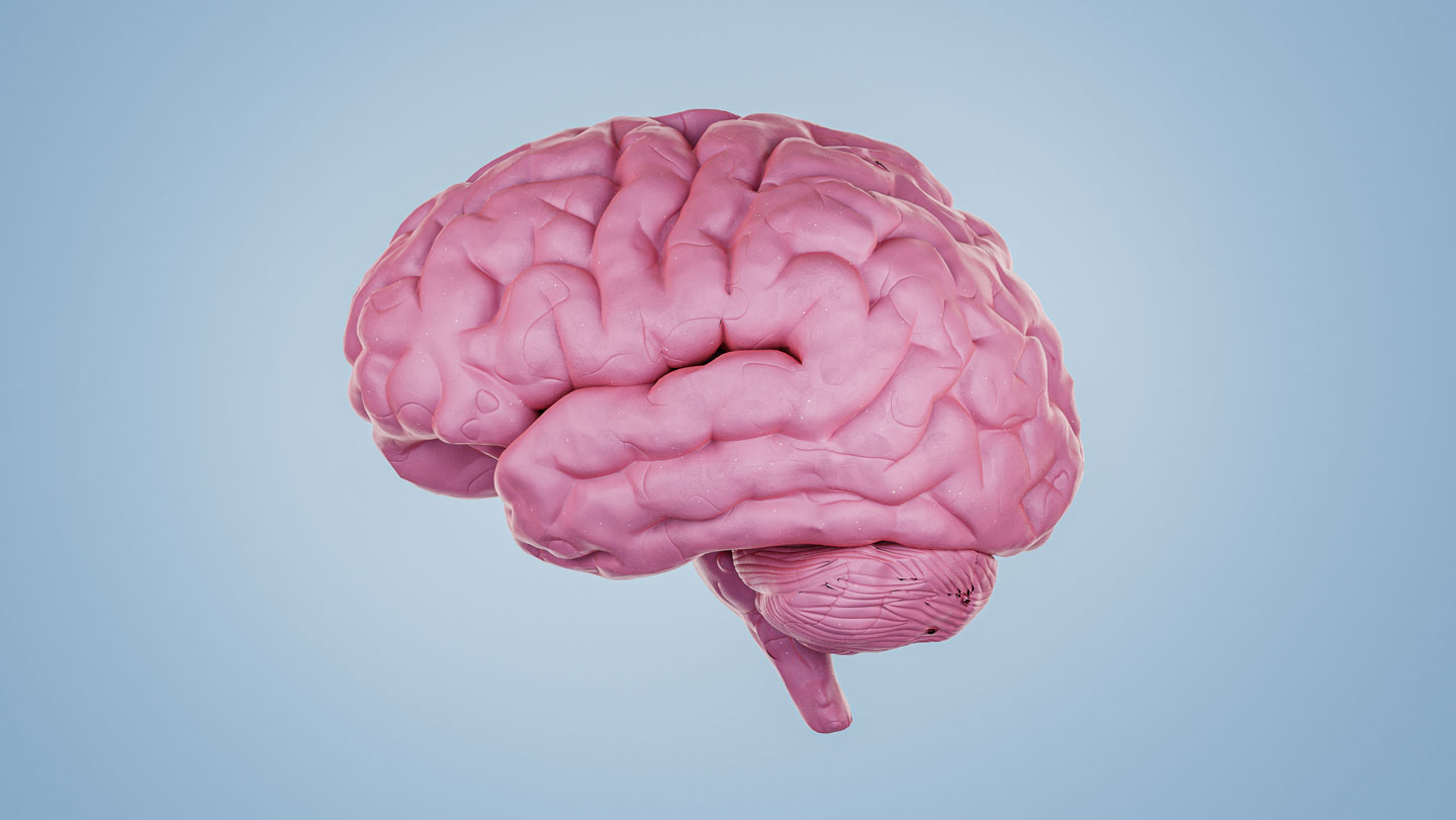 Protein signatures may one day tell brain diseases apart before symptoms