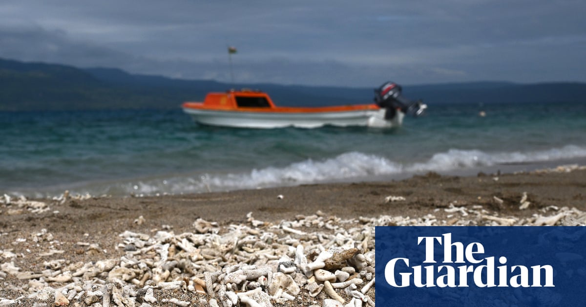 Healthy environment a human right, UN court says in landmark climate ruling | Climate crisis