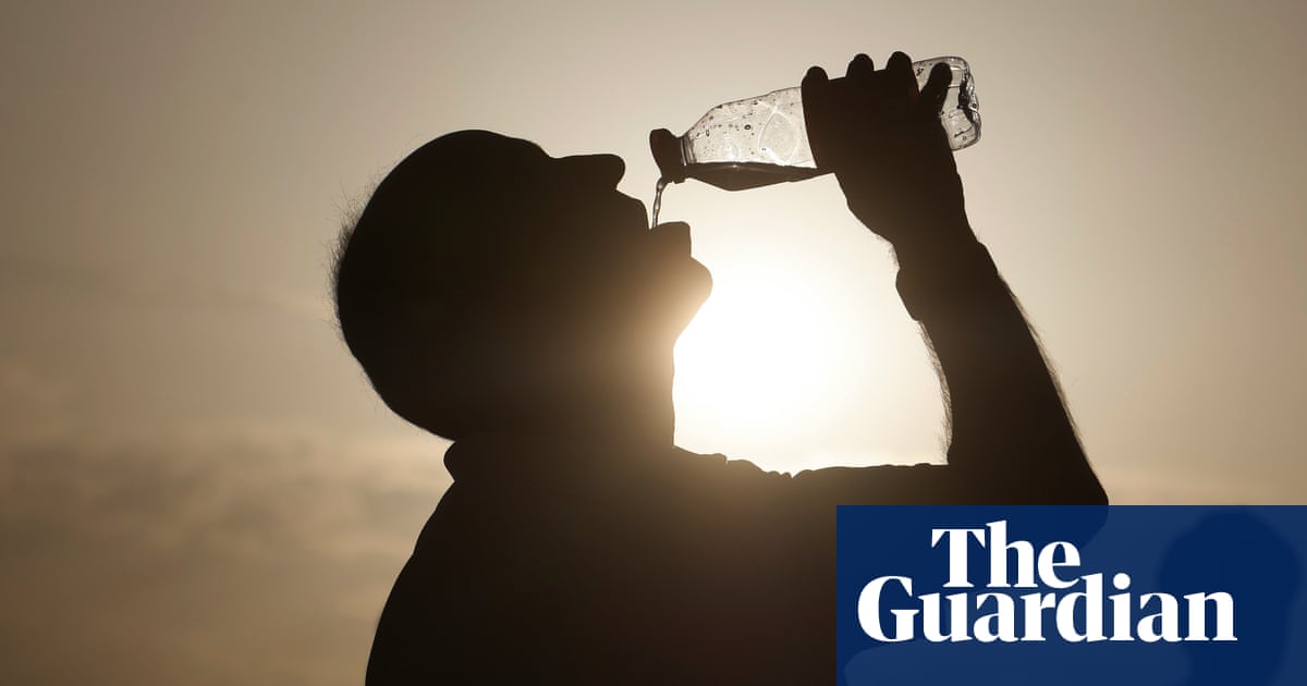 Political cowardice hindering Europe’s climate efforts, says EU’s green chief | Extreme weather