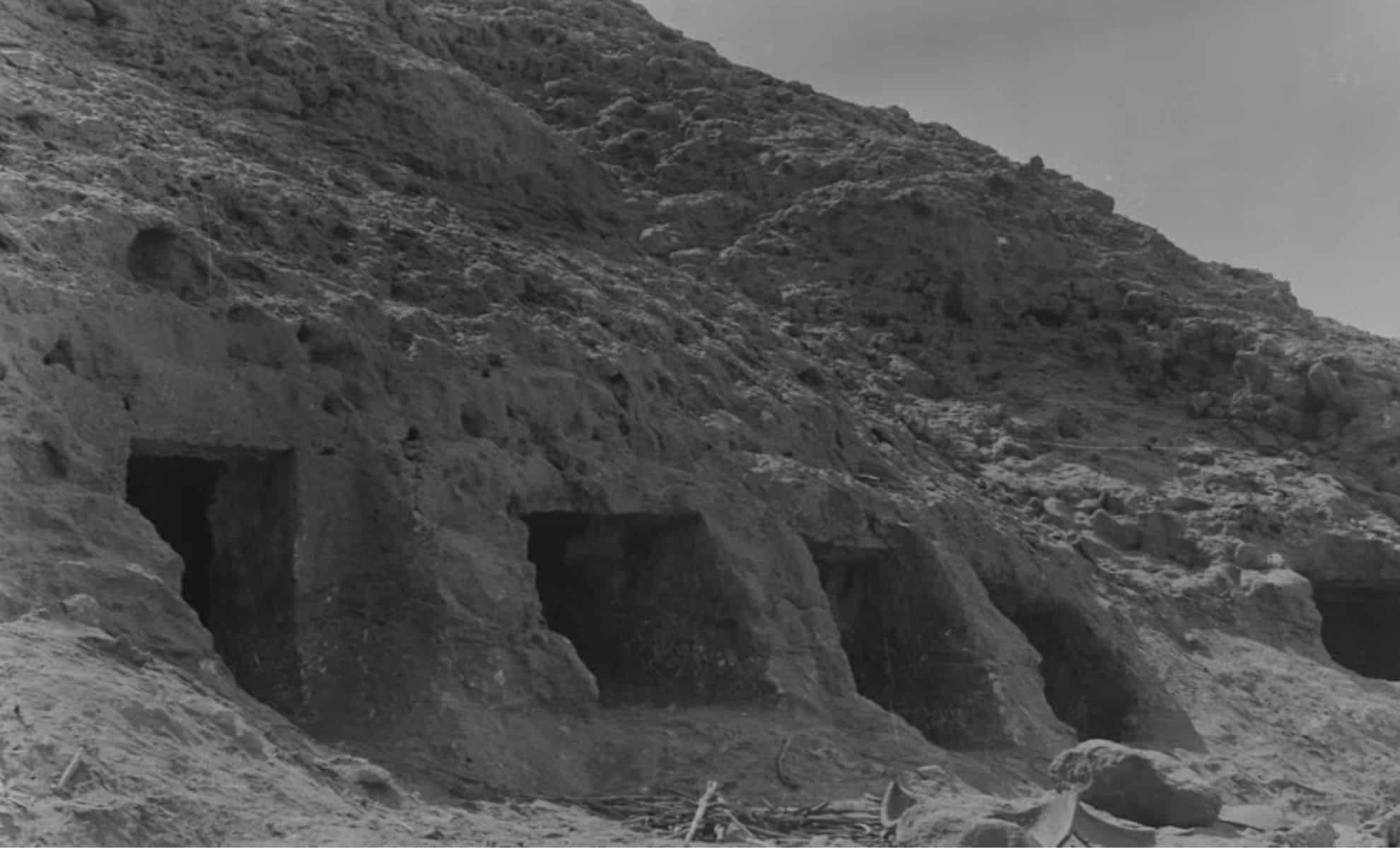 4,500-Year-Old DNA from Ancient Teeth Reveals Secrets of a Lost Civilization