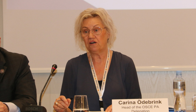 OSCE PA Special Rapporteur calls for tougher sanctions on Russia to return abducted Ukrainian children