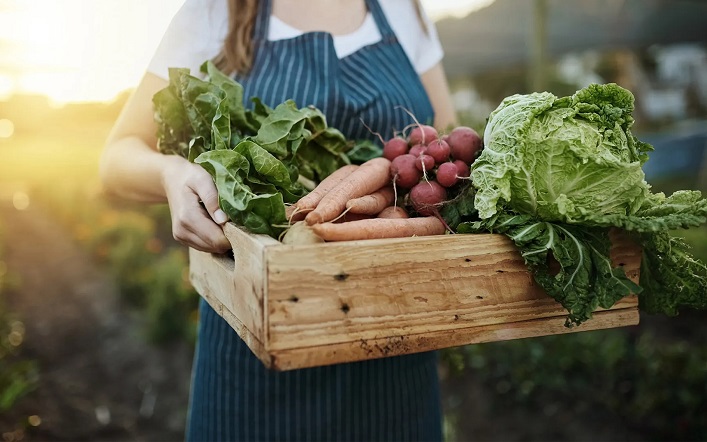 Ukraine will establish a national network of vegetable storage facilities to preserve 35% of the harvest.