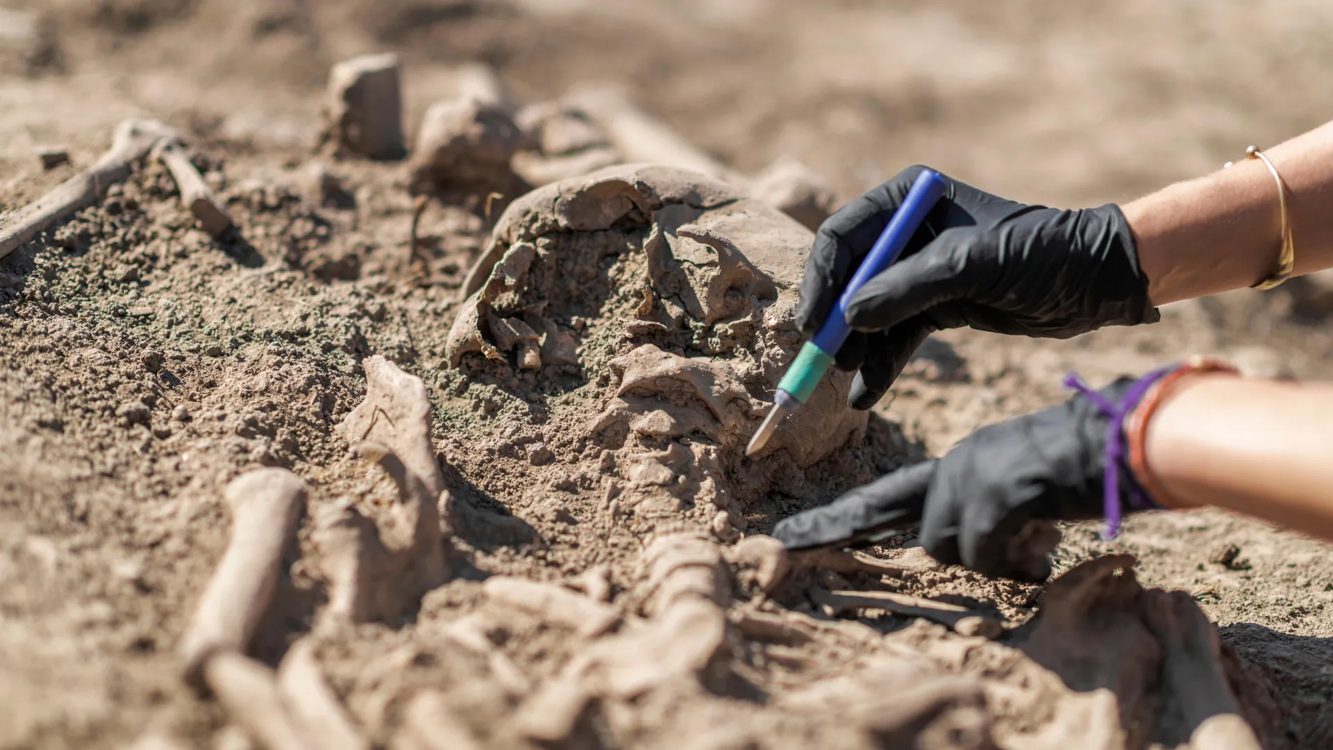 The first pandemic? Scientists find 214 ancient pathogens in prehistoric DNA