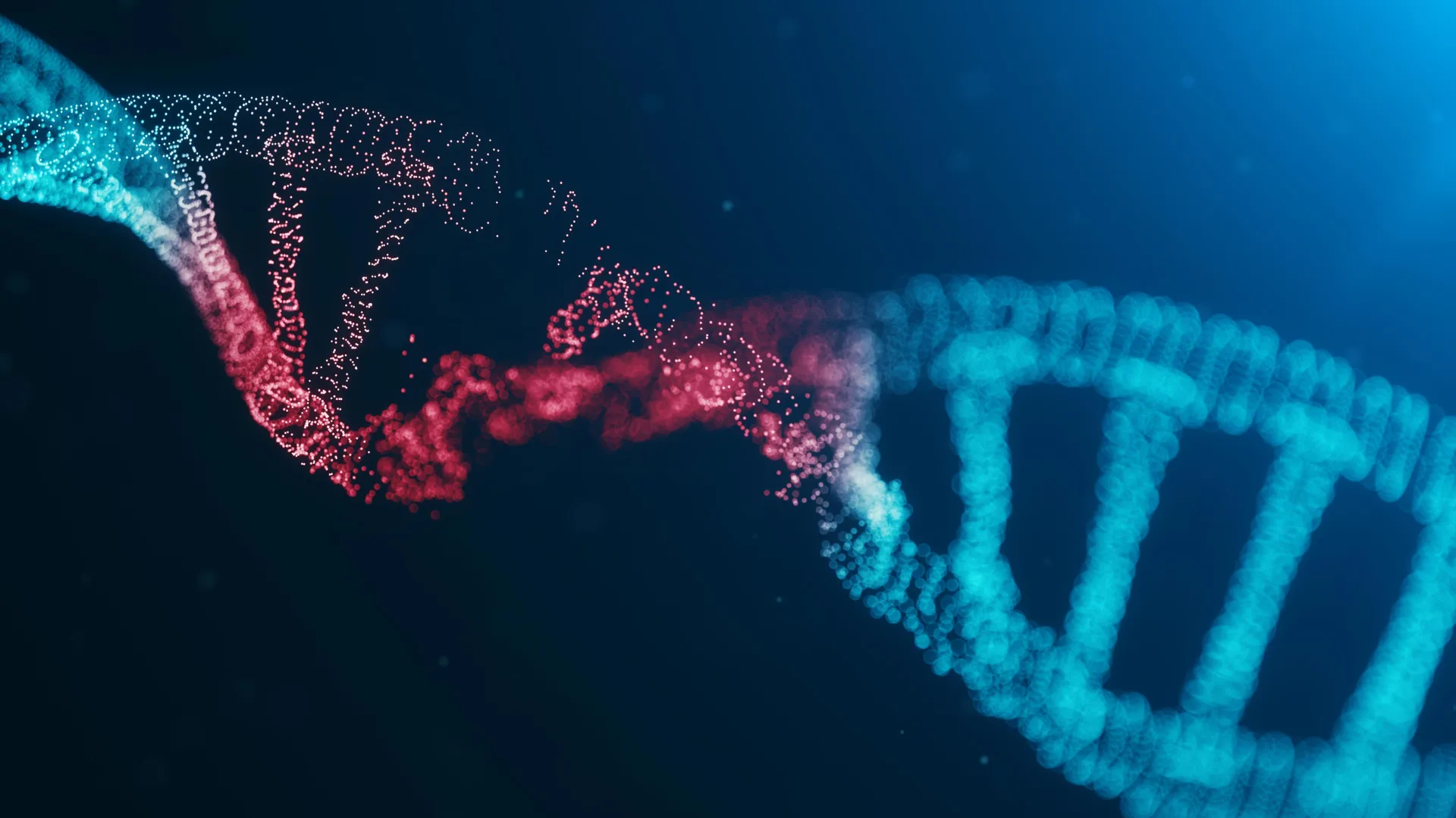 The fatal mutation that lets cancer outsmart the human immune system