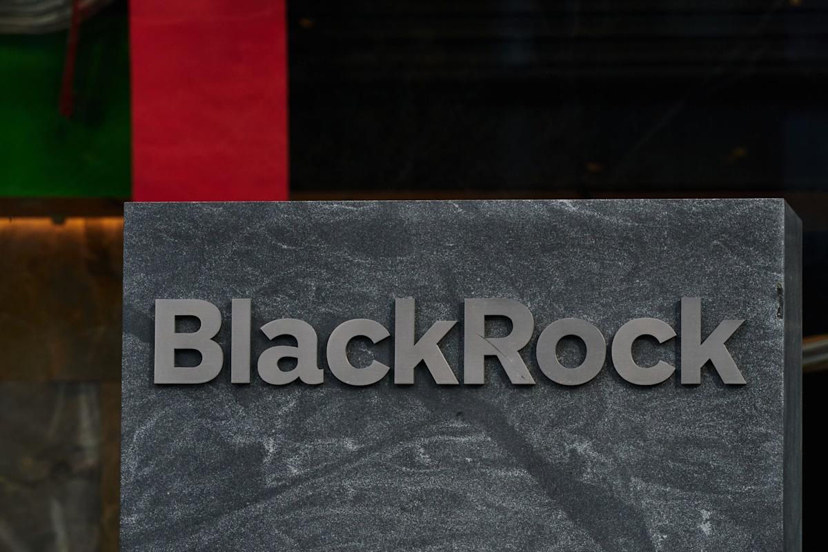 BlackRock Halted Ukraine Fund Talks After Trump’s Election Win