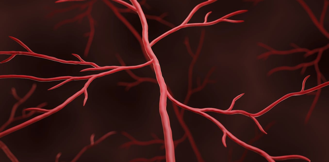 Muscle weakness in cancer survivors may be caused by treatable weakness in blood vessels – new research