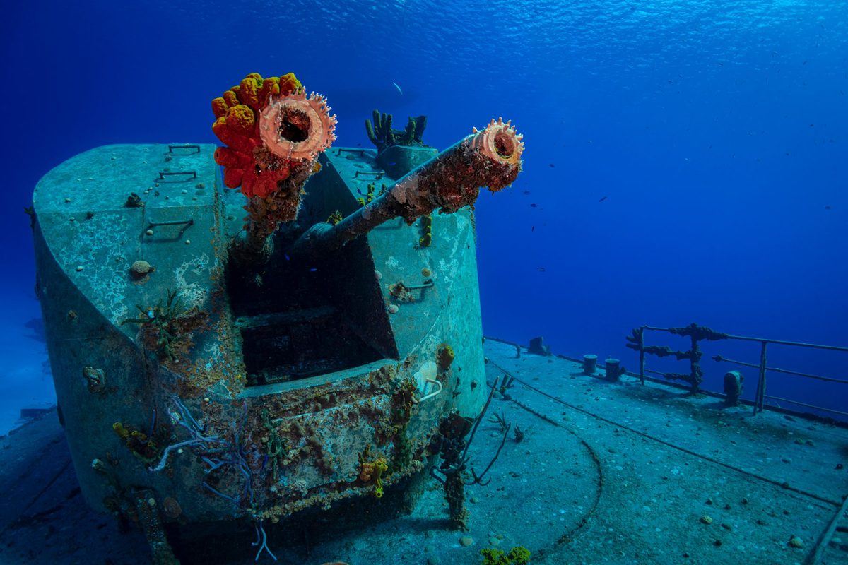 Why WWII shipwrecks could soon help solve a cosmic mystery