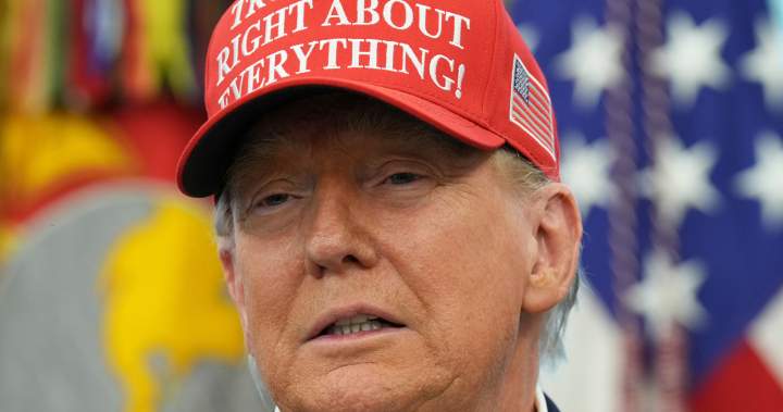 Trump says ‘I’ll see whose fault it is’ if Putin-Zelenskyy meeting not set – National