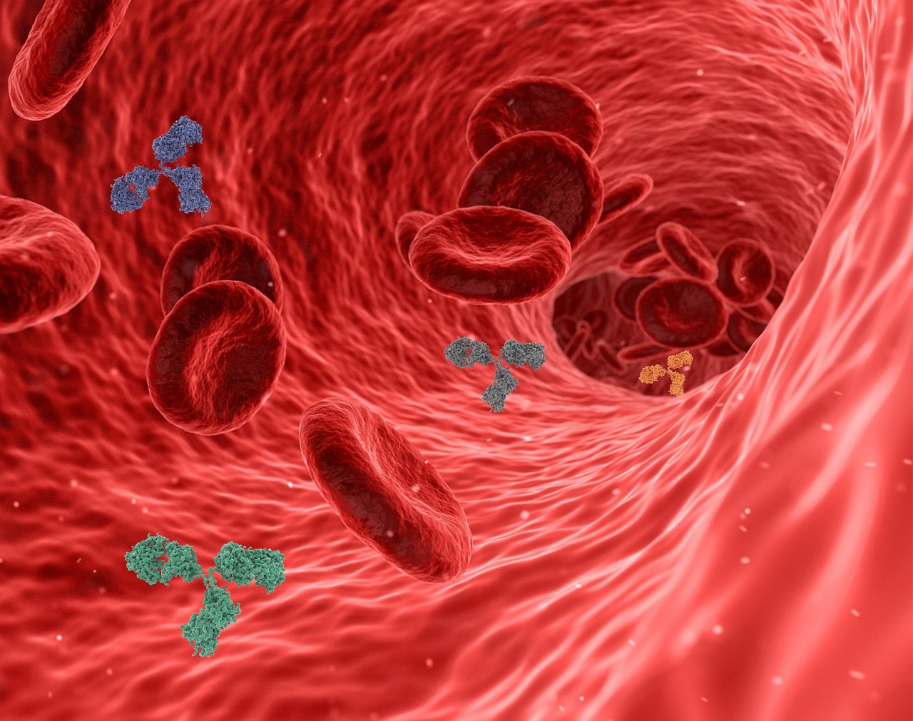 Why Do Immunotherapies Not Always Work?