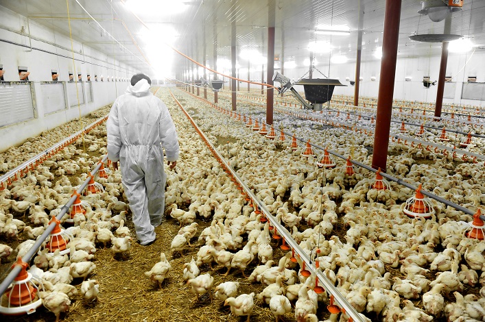 The Chernihiv region has restored agricultural production to 95% of pre-war levels.