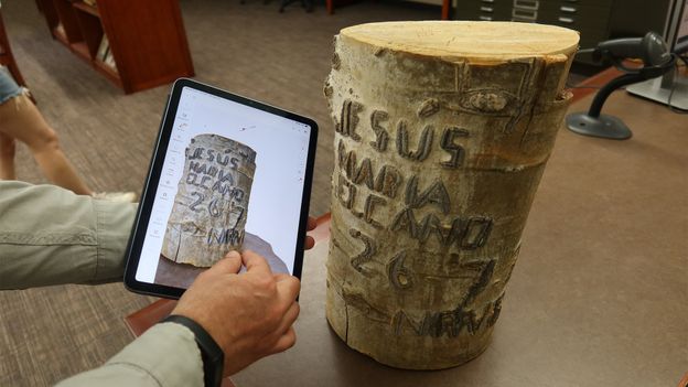 How Europe’s oldest language ended up on US trees