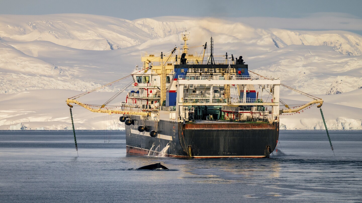 Officials shut down remote krill fishery in Antarctica early
