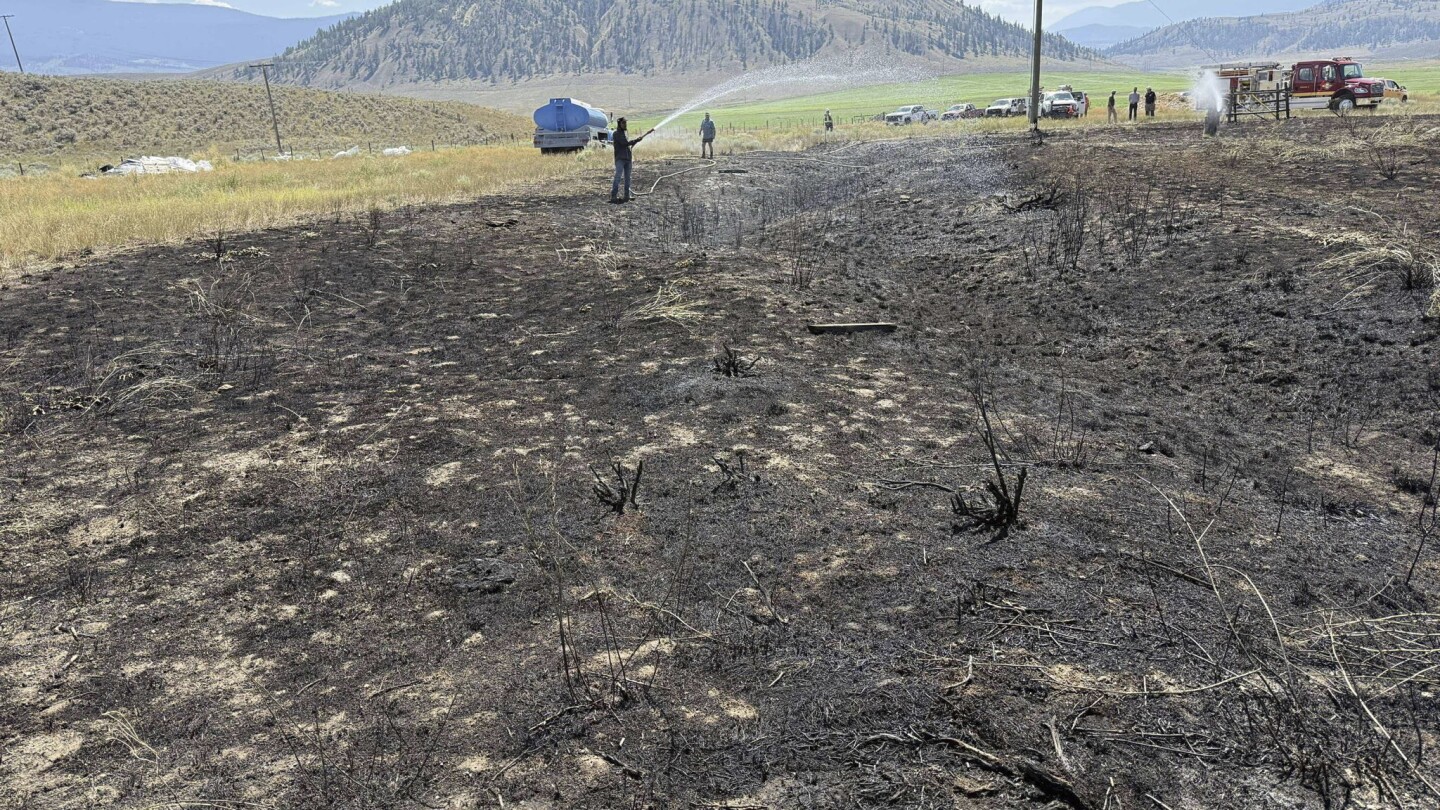 A fish falling from the sky sparks a brush fire in British Columbia