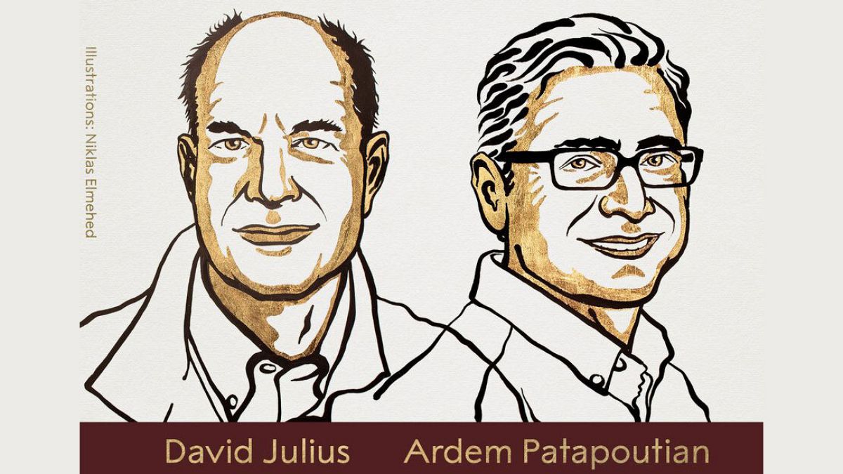 Nobel Prize in Physiology or Medicine awarded to David Julius and Ardem Patapoutian