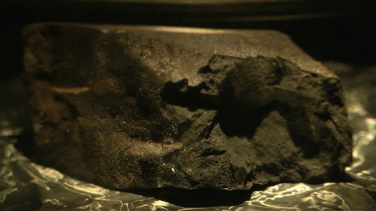 Meteorite that crashed into English driveway is now at London’s Natural History Museum