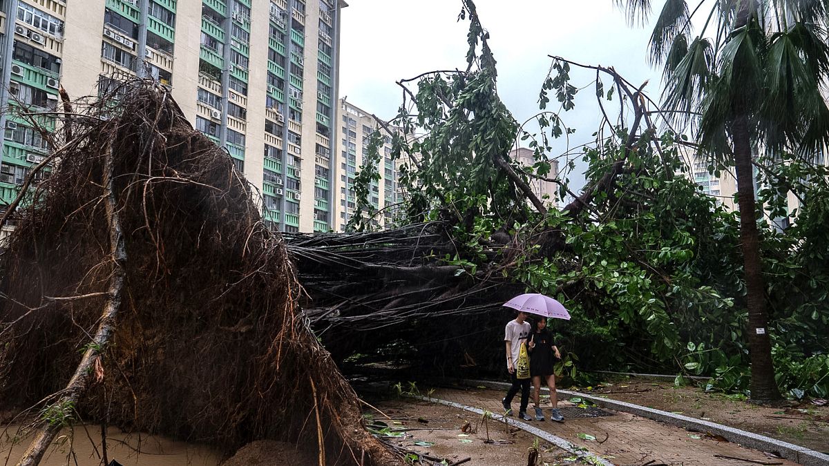 Video. At least 15 killed as typhoon rains cause deadly flooding in Taiwan
