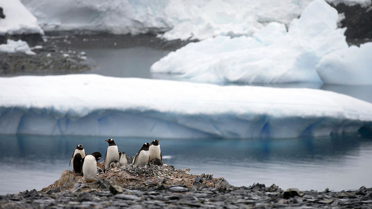The Antarctic ozone hole is among the largest on record, how does it affect me?