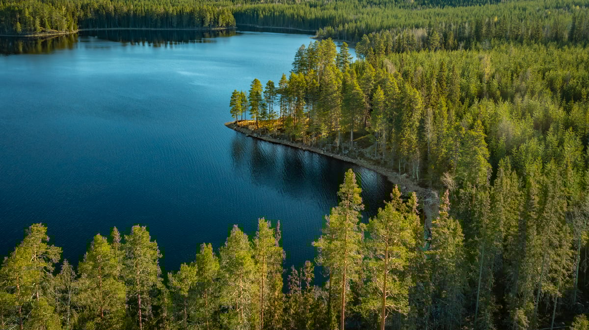 Unlocking the bioeconomy for Europe’s climate future