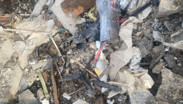 Drone fragment found in Estonian nature reserve