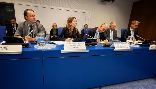 Minister Grynchuk, international partners discuss situation at Zaporizhzhia NPP