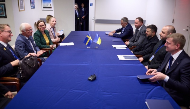 Ukrainian president meets with King of Sweden