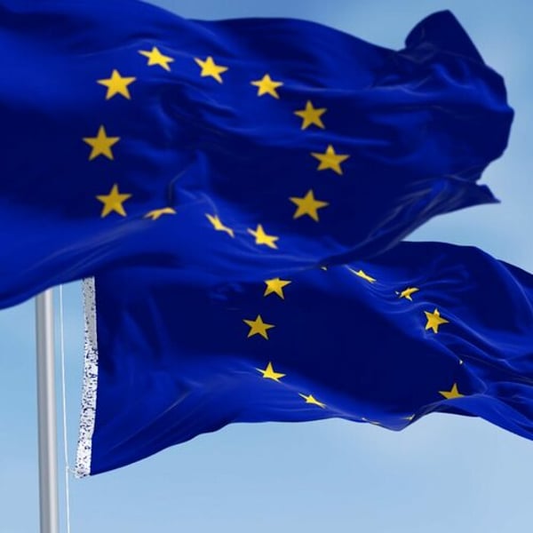 Nine organizations push Europe to safeguard due diligence law