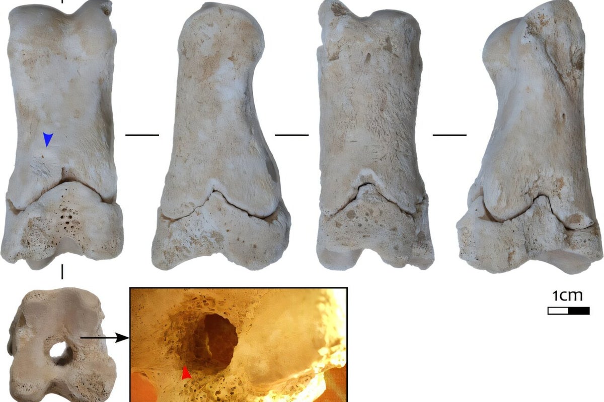 Archaeologists find artefact ancient Egyptian guards used to warn of grave robbers