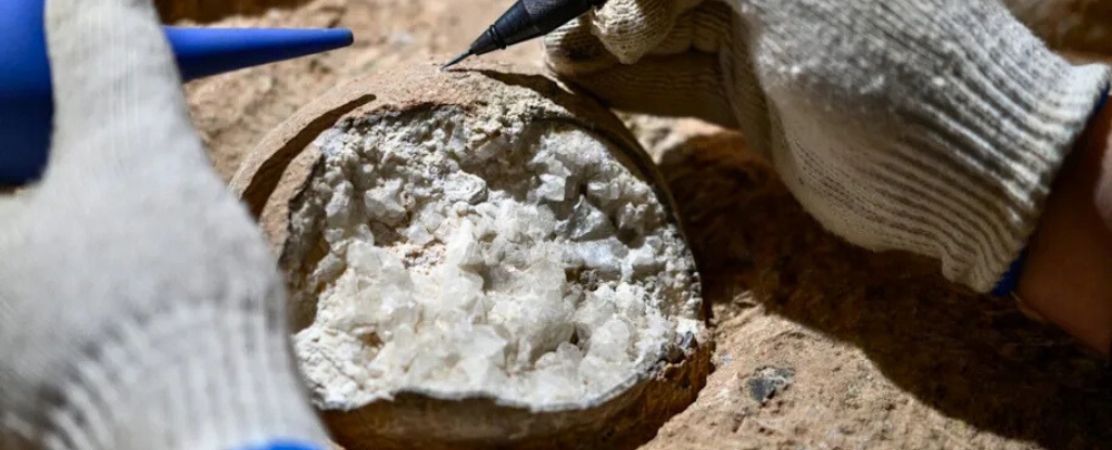 Scientists Blast Dinosaur Eggs With Lasers to Check Their Ancient ‘Atomic Clocks’ : ScienceAlert