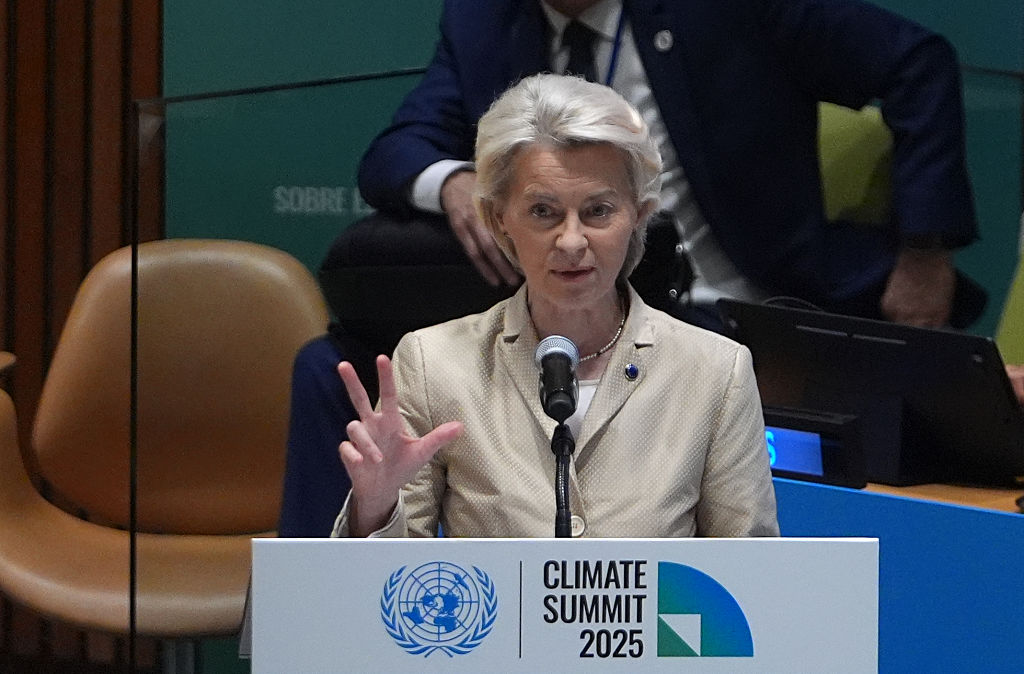 Cross-party criticism of Europe's poor showing at UN climate conference – Euractiv
