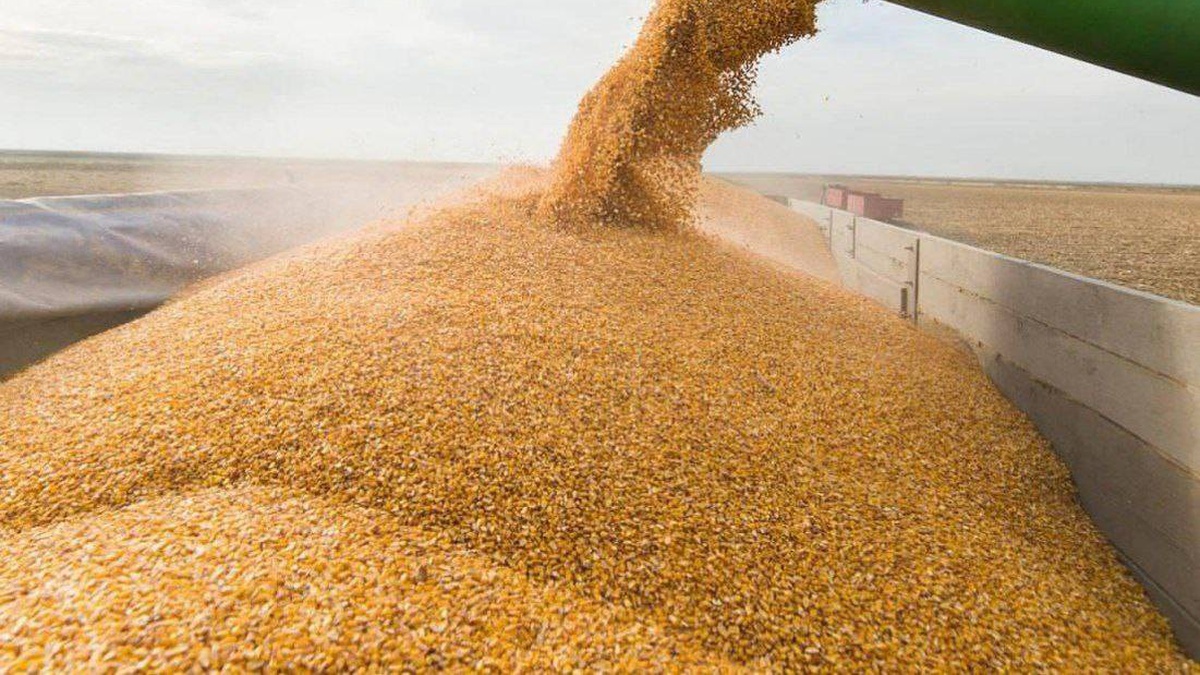 Harvest 2025 collected from 67% of production areas – Ukraine’s Economy Ministry