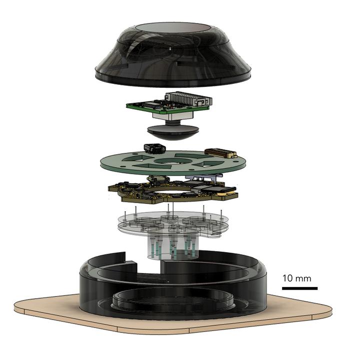 Electric Fields and Fluoxetine Delivery Accelerate Healing