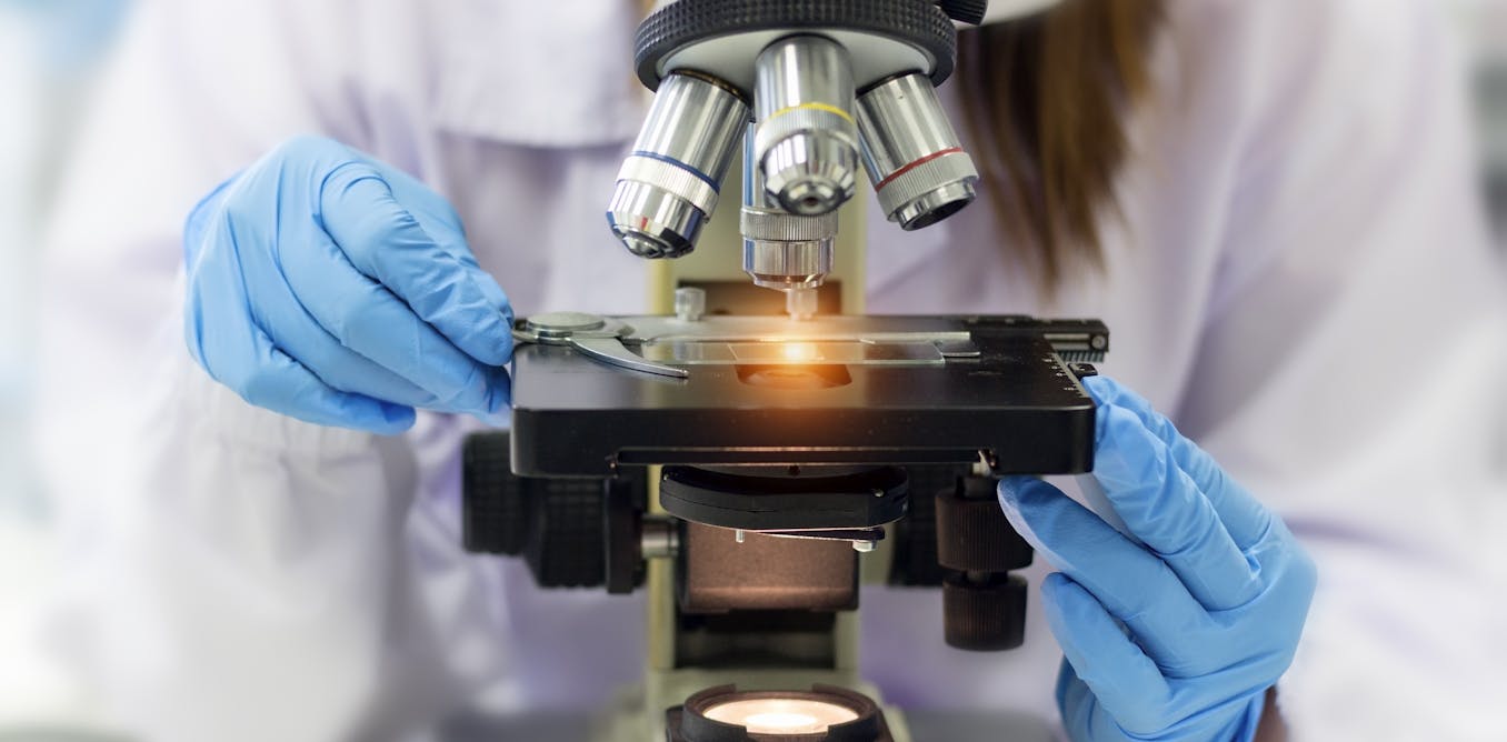 Proposed cuts to NIH funding would have ripple effects on research that could hamper the US for decades