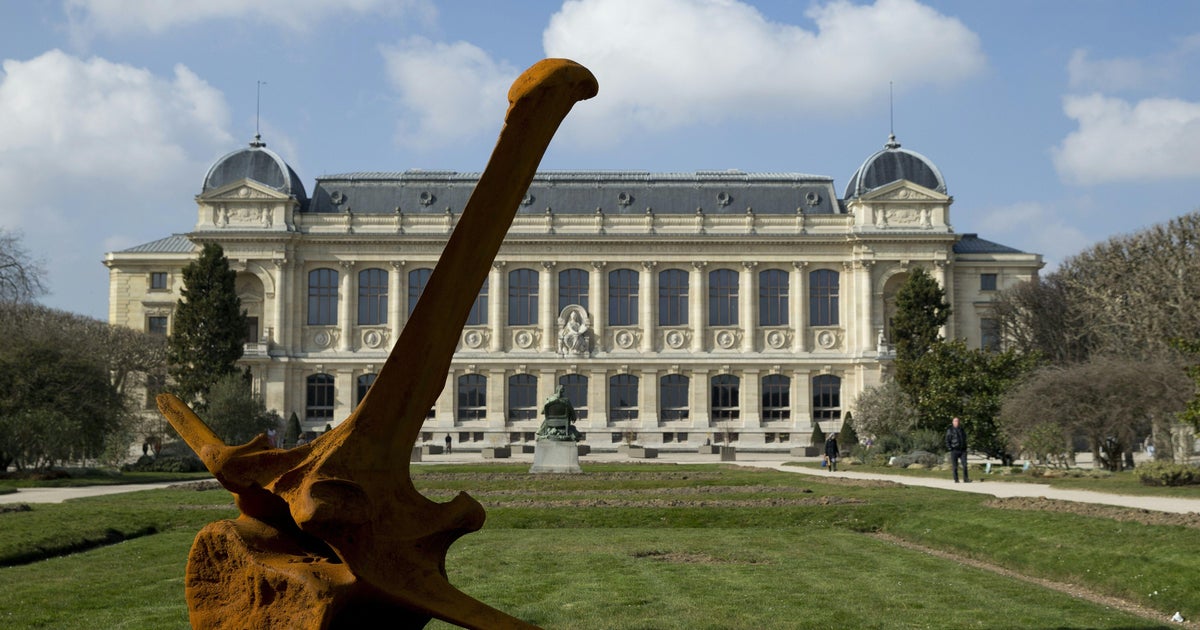 Gold worth $700,000 stolen from Paris’s Natural History Museum amid string of similar heists