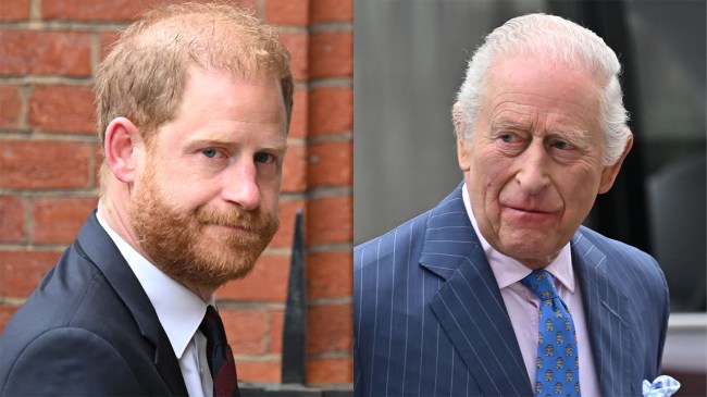 Prince Harry Responds to King Charles Meeting
