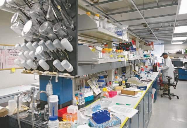 Europe must pay more for drug research