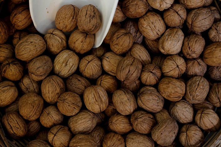 Ukraine has taken a leading position in walnut production: How can the industry be accelerated?