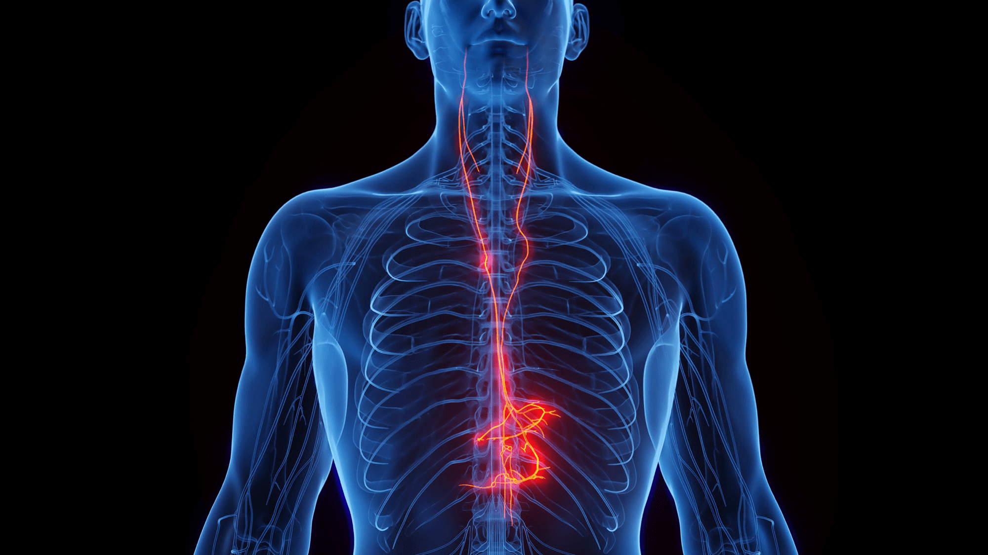 Does vagus nerve stimulation work? A scientific cure-all explained.