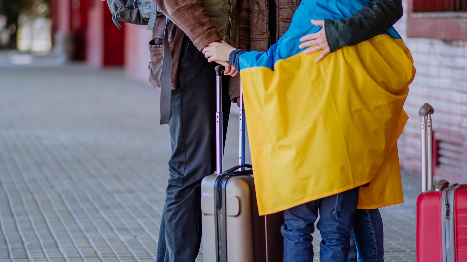 Rise in young Ukrainians seeking temporary protection