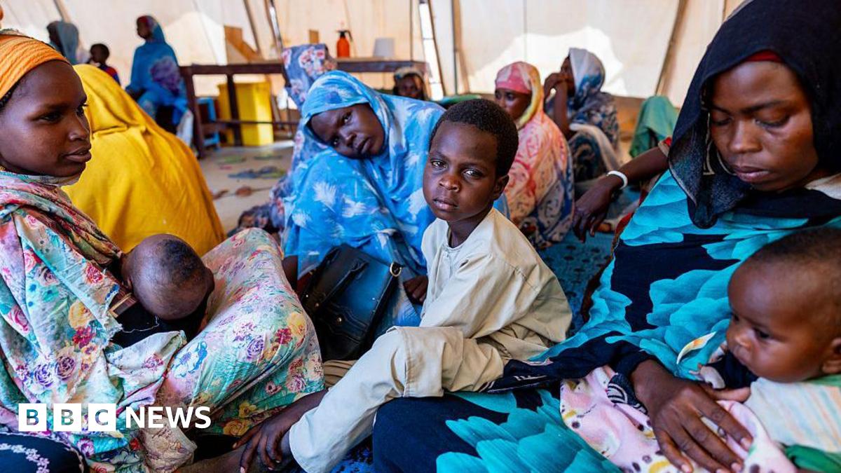 Sudan paramilitary group takes key city of el-Fasher after 18-month siege – live updates