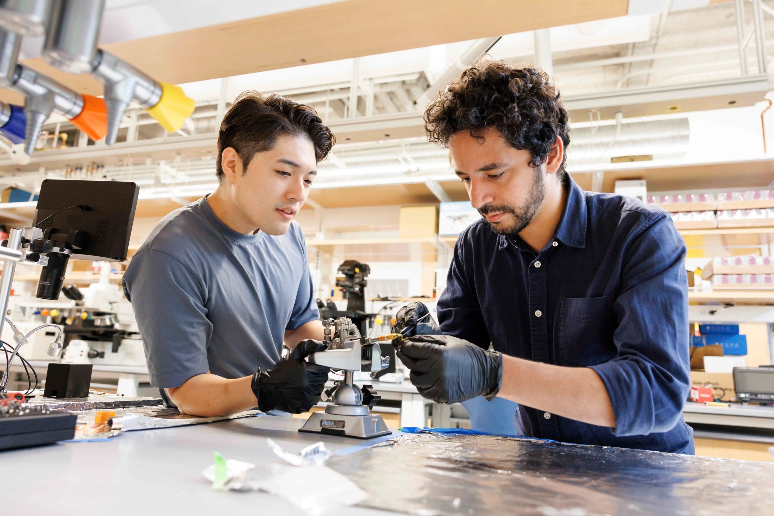 Physicists go to extremes to capture quantum materials — Harvard Gazette