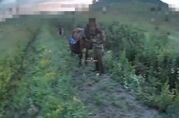 Ukrainian Drones Attack Russian Cavalry Troops in Rare 21st-Century Encounter