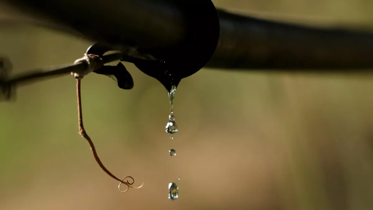 Can Europe’s farmers save the water cycle?