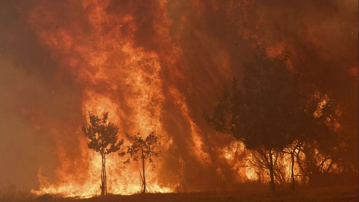 Fire-breathing clouds: How intense wildfires can create their own deadly weather systems