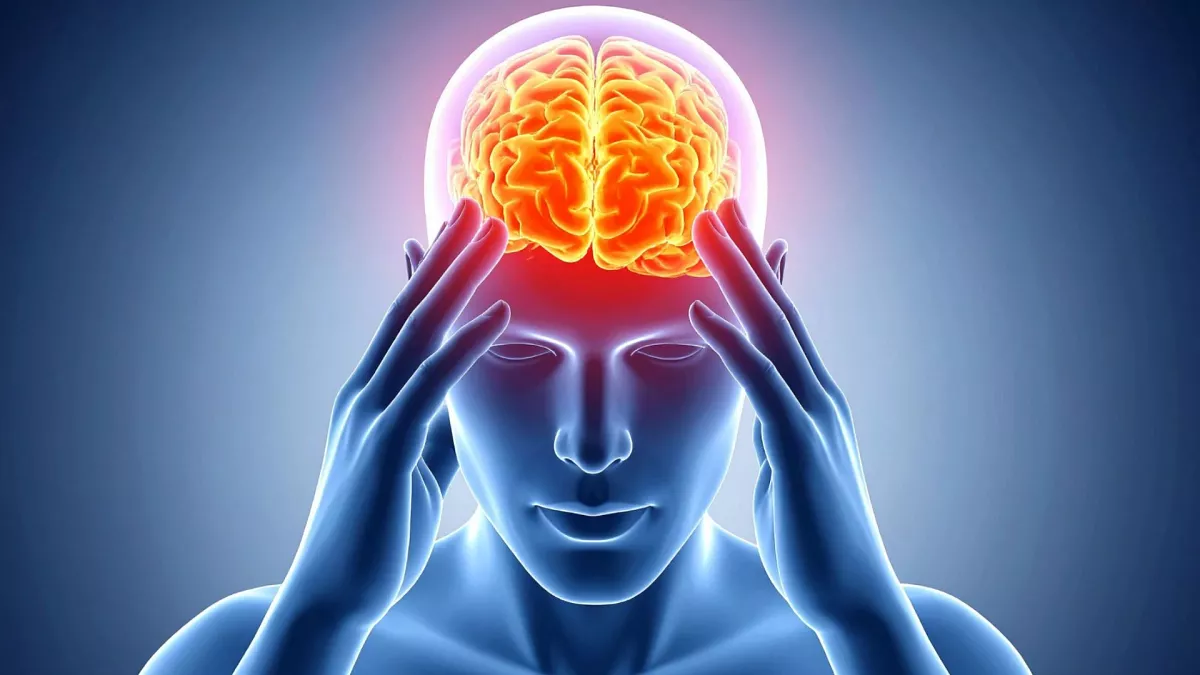 Men’s brains shrink faster with age than women’s, study finds